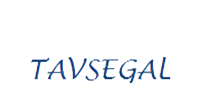 TAVsegal